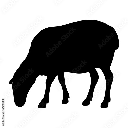 Silhouette of a Grazing Sheep in Black Against a White Background