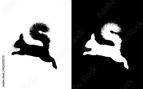 Silhouette of a cute squirrel with a big fluffy tail curled over its back, cartoon-style, great for woodland-themed designs.