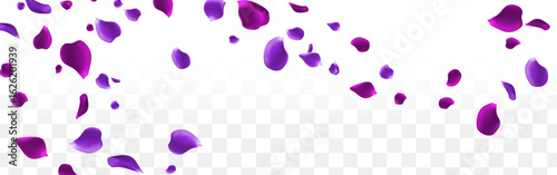 exquisite beauty of purple rose petals fluttering and falling like the wind of love and romance soaring across the sky, creating an atmosphere of joy and overflowing celebration. 