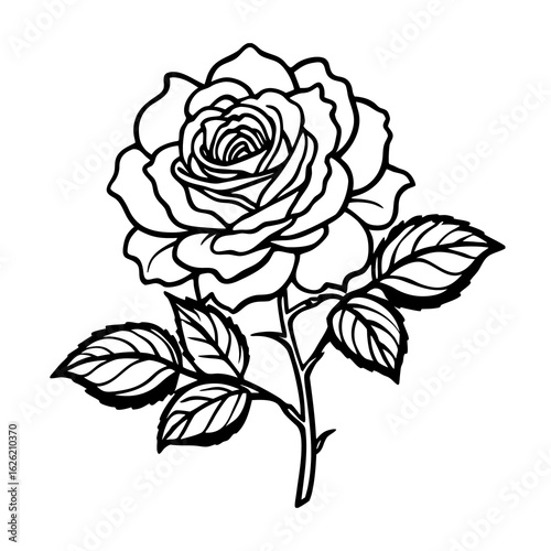 Wallpaper Mural Black rose vector illustration floral vintage design pattern seamless nature art bouquet card Torontodigital.ca