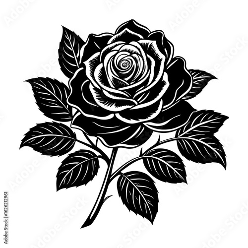 Black and white rose vector illustration vintage floral pattern with leaves and decorative roses silhouette design