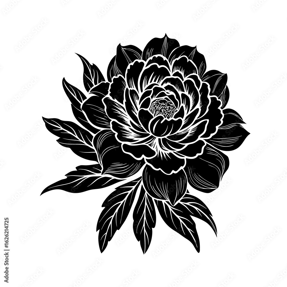 Fototapeta premium Black and white rose flower vector illustration with floral design and decorative elements
