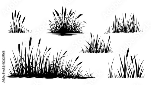 Black cattails and reeds silhouette collection grass plant