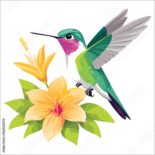  Vibrant hummingbird hovering near a blooming flower