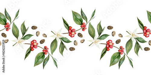 Watercolor coffee beans and branch with berries seamless border. The illustration botanical style hand drawn for menu, invitations, cards, packaging.