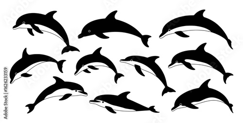 Diverse dolphin silhouettes in black and white marine mammal