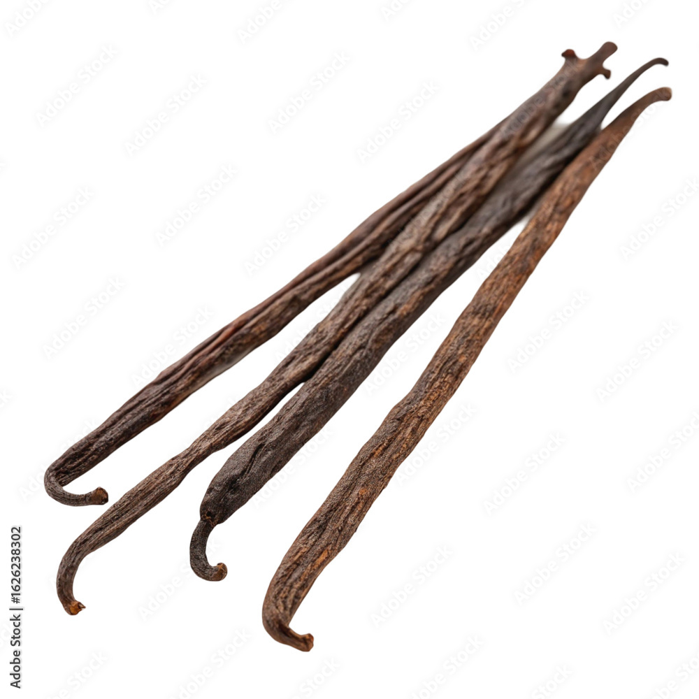 Vanilla pods isolated on transparent background
Vanilla pods isolated on transparent background