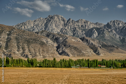 Central Asian mountain landscape. Dry slopes, green grove, and golden field against a backdrop of rocky peaks.