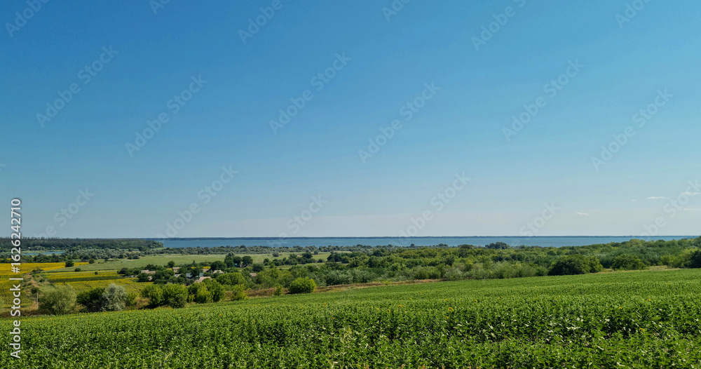 Fototapeta premium Scenic view of green agricultural fields, trees, and distant lake under blue sky. Landscape photography. Summer countryside and nature concept