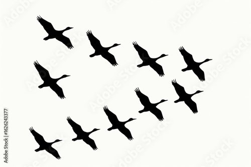 Silhouettes of a flock of geese flying in a V-formation, illustrating teamwork, leadership, and migration against an isolated white background