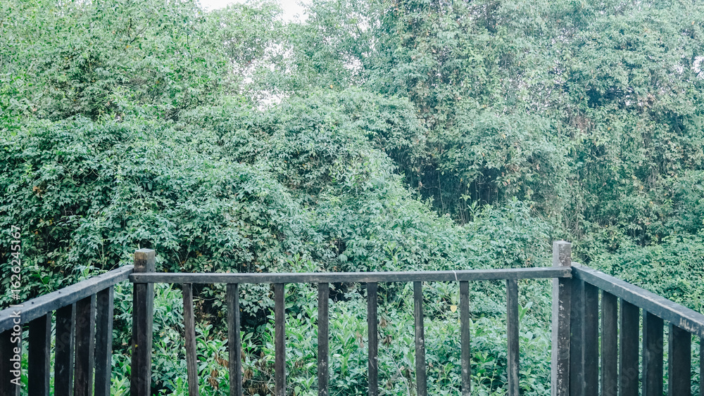 Fototapeta premium From the wooden balcony the view of the beautiful and simple landscape facing the dense forest