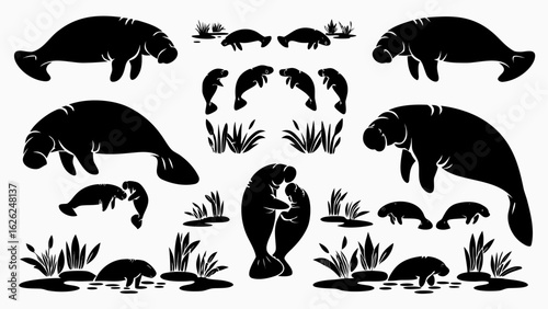 Silhouette illustration of manatees in various poses surrounded by aquatic plants and reeds design