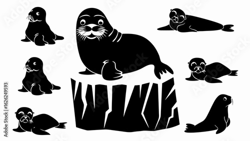 Several black seals in different poses one sitting on an iceberg on a white background illustration silhouette