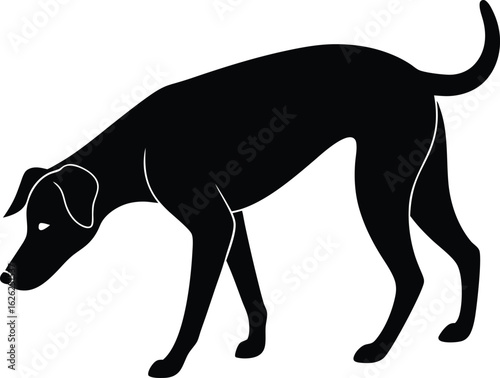 black silhouette a dog sniffing ground on white ba.eps