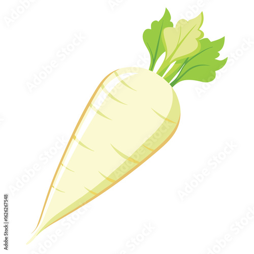 A single, large parsnip, its creamy white color defined, on a clean white background, a healthy root vegetable.