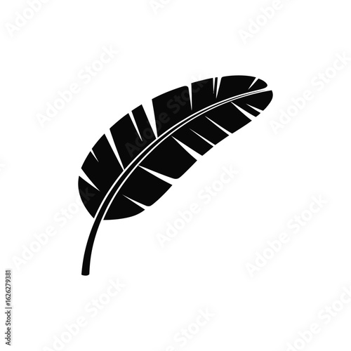 Banana leaf vector silhouette