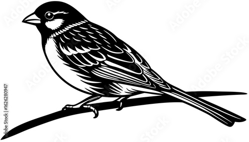 Minimal black silhouette of sparrow, sitting on branch, clean outline, vector style