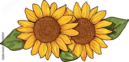 Two vibrant yellow sunflowers with green leaves hand drawn illustration isolated on white background