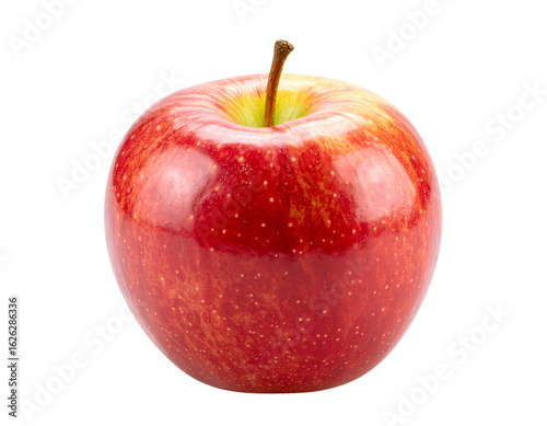 Side View of Fresh Red Fuji Apple with Stem, isolated on white backdrop