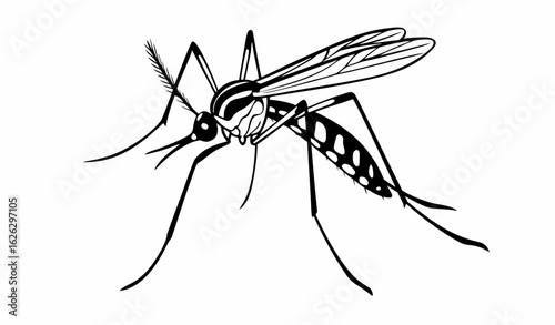Minimal black silhouette of mosquito, side view, isolated vector design