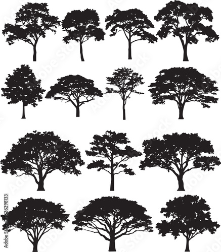 black and whitw set of trees vector design silhouette