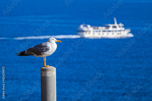 A photo of a seagul sitting on a post in front of a boat