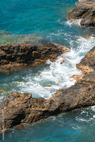 A photo of a bird sitting on a rock near the ocean