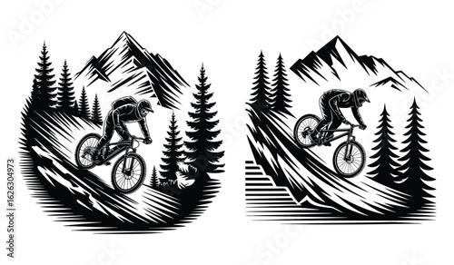 MTB Adventure in a Mountain and Pine Tree Landscape
