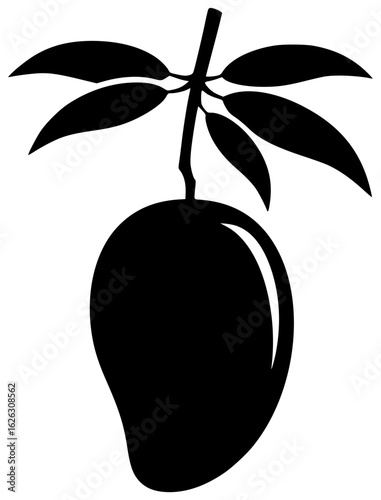 mango hanging from tree and being picked by farmer on kitchen counter served as smoothie