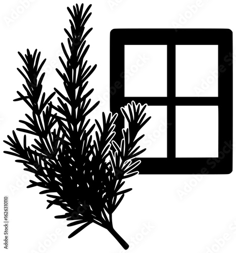 Rosemary plant in a garden with blooming flowers near a window on a table in a pot surrounded by herbs in a kitchen on a balcony with a trellis in a greenhouse