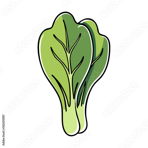Vibrant bok choy leaf icon in doodle style for fresh produce promotion and culinary designs