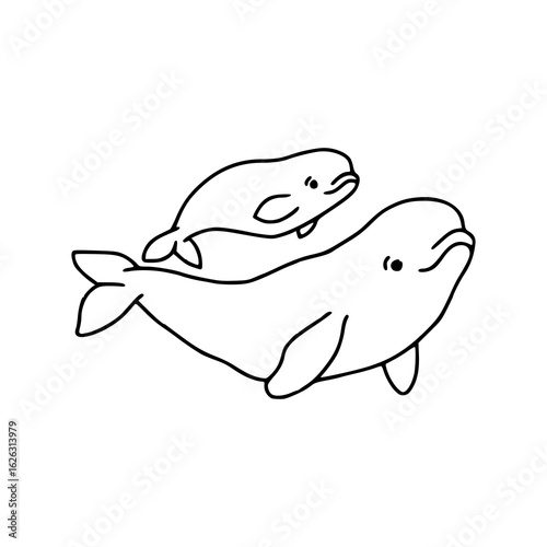 cute hand-drawn baby and mom beluga whales