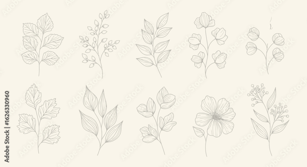 Fototapeta premium Vector Minimalist Botanical SVG Illustration Set with Line Art Floral Elements in Monochrome Style