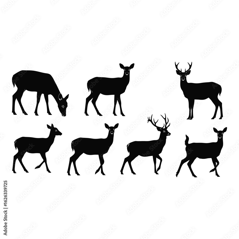 Fototapeta premium Wild Deer Silhouettes
