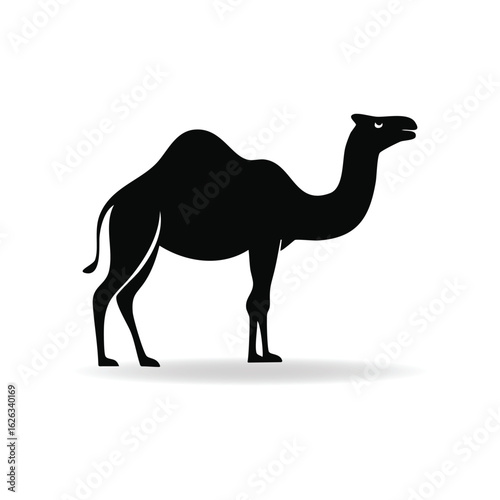 A Realistic Black Silhouette of a Dromedary Camel Standing Proudly on White