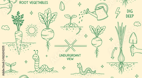 Root Vegetable Gardening Seamless Pattern Vector. Green Line Art Background of a Garden, Carrots, and Beets. Hand Drawn Doodle Illustration for Fabric, Print, and Food Design. Farm.