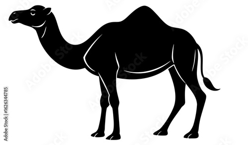 Minimal black silhouette of camel, side view, vector clean outline