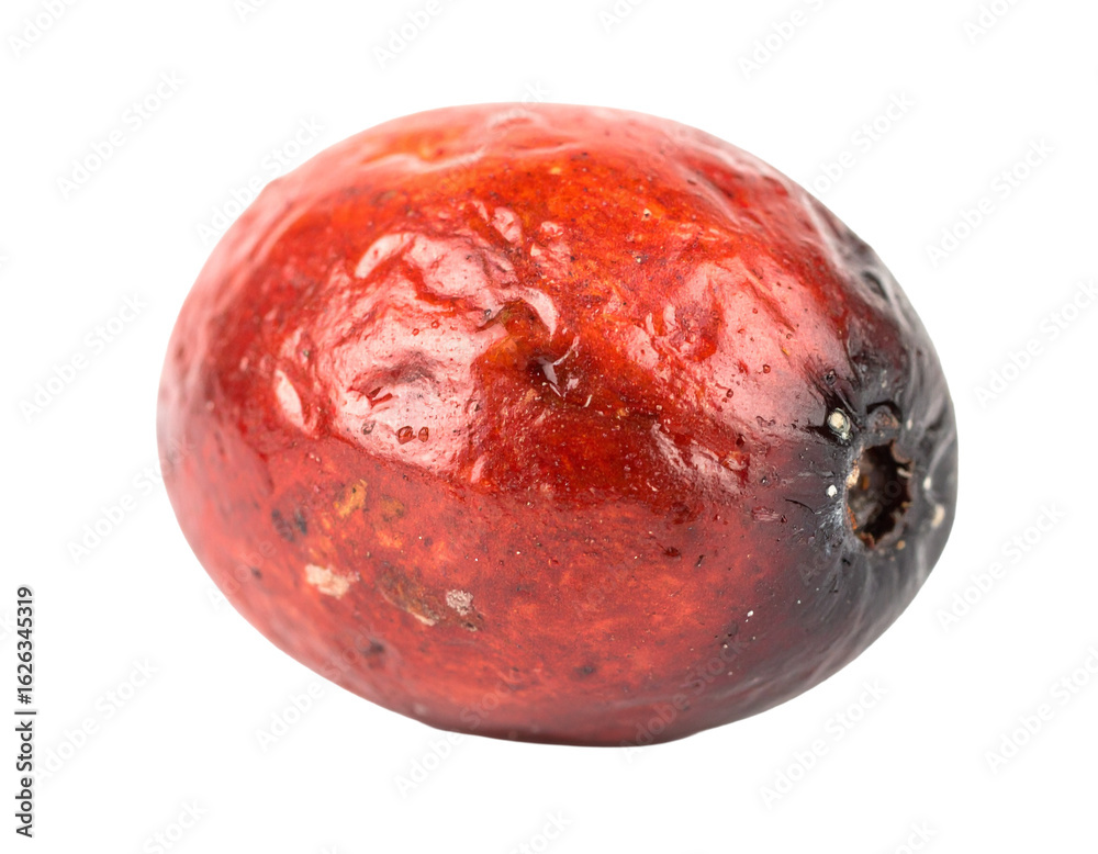 Fototapeta premium Rotten Cranberry Isolated on White Background