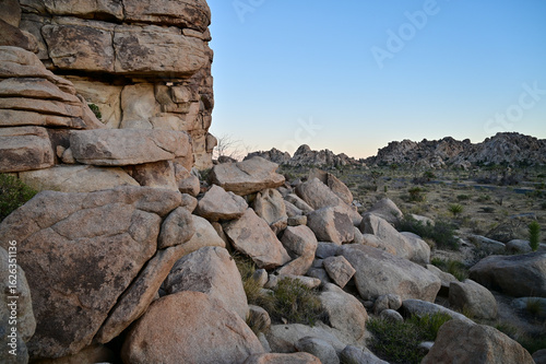 Wallpaper Mural Golden hour landscapes in Joshua Tree National Park, California, showcasing iconic rock formations, desert vegetation, and Joshua trees under a clear evening sky. Torontodigital.ca