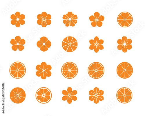 Vibrant Orange Blossom and Citrus Fruit Vector Illustration Collection for Creative Projects