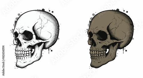 skull side up on black background