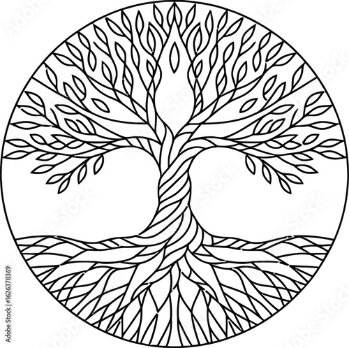 Circular tree of life illustration circle roots