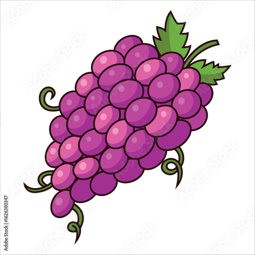 Bunch of ripe purple grapes with leaves