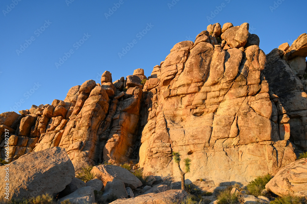 Obraz premium Sunlit rock formations in Joshua Tree National Park at golden hour. 