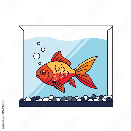 Goldfish in aquarium. Orange goldfish swims in glass tank. Pet goldfish in home aquarium. Concept image for pet store advertisement.