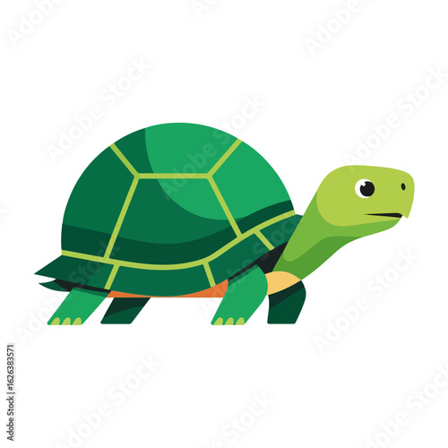 Green turtle illustration. Cute green turtle character perfect for children's books, educational materials, or playful designs.