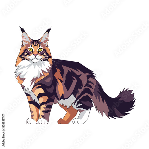 Maine coon illustration showcases a furry domestic pet with striking markings. This Maine coon illustration is perfect for pet lovers and features a majestic cat with unique fur.