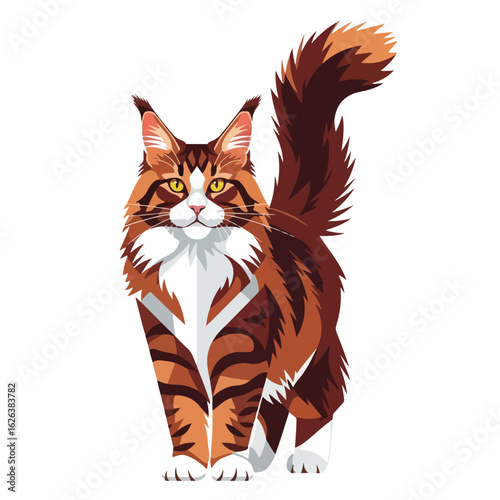 Isolated main coon cat with fluffy tail and patterned fur on white background. Standing main coon cat displays breed characteristics and striking colors. Showcasing main coon cat for pet product ads.