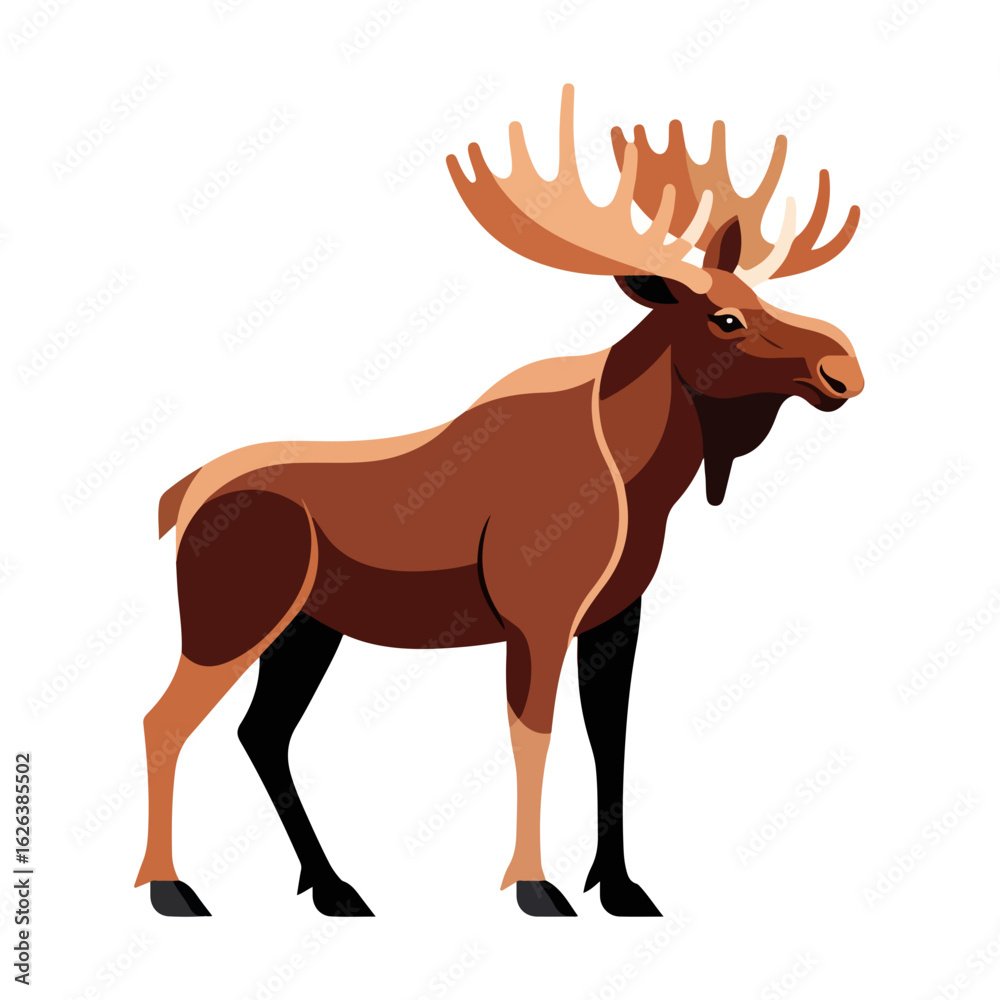 Obraz premium Majestic moose Alces alces illustration. Powerful moose stands proudly showcasing large antlers. Moose illustration perfect for wildlife posters, nature books, and educational materials.