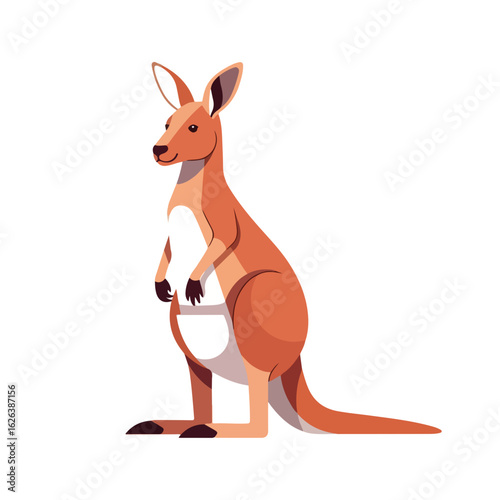 Red kangaroo macropods rufus illustration.  Red kangaroo is iconic australian marsupial.  This red kangaroo image is perfect for educational materials, children's books, and wildlife documentaries.